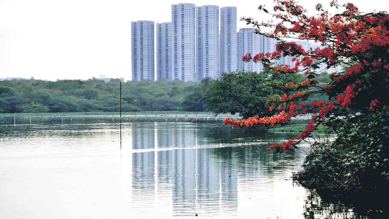 ఆ రెండు చెరువులకు సరికొత్త అందాలు