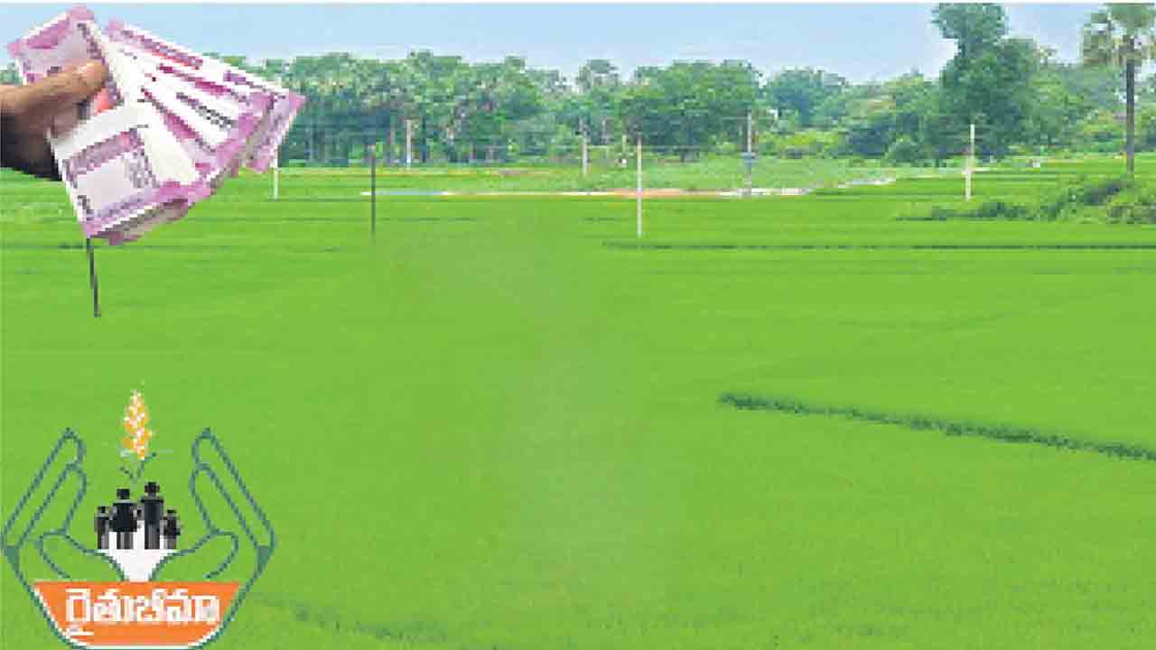 పరిహారం కుటుంబానికి అభయం