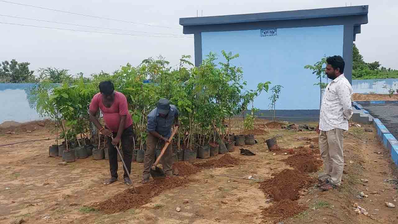 హరితహారం ఘరూ