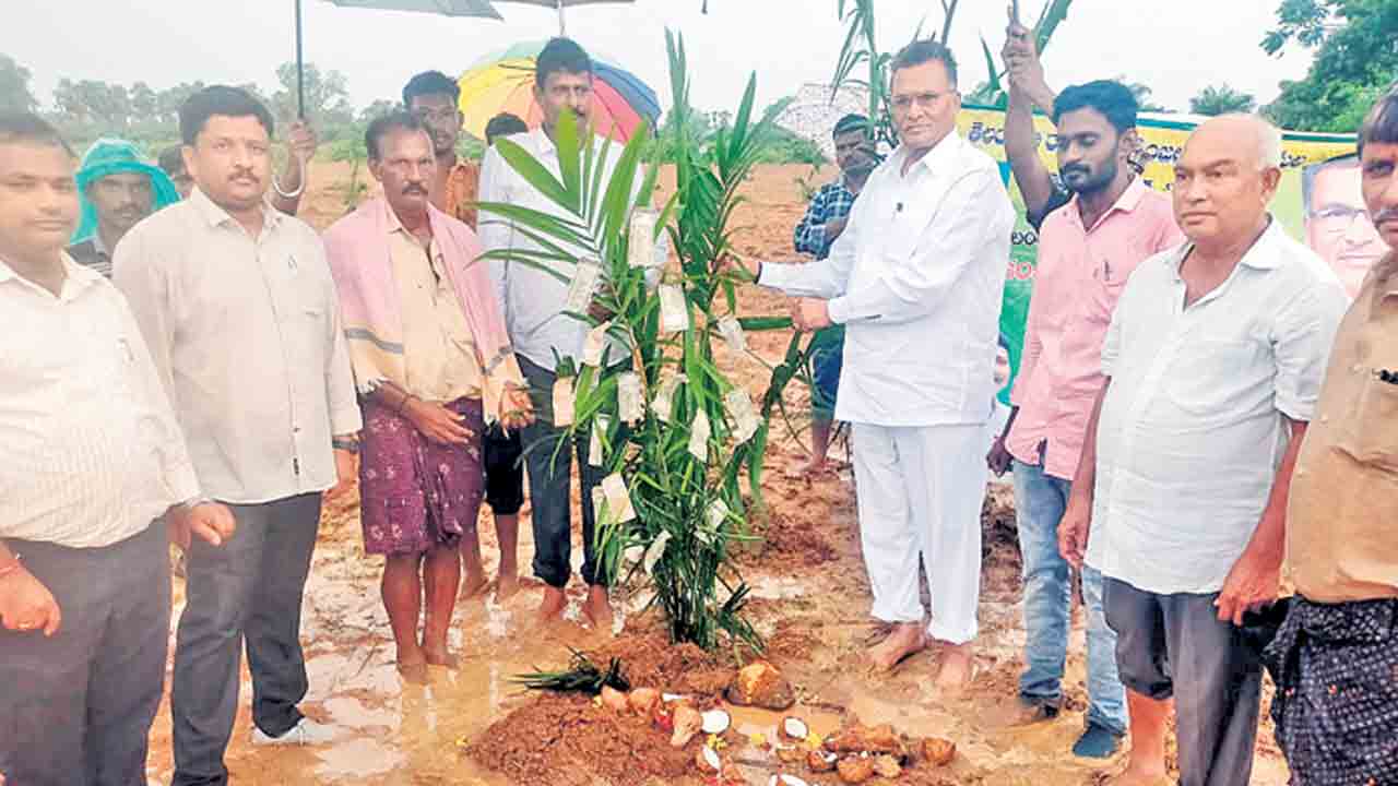 ఆయిల్పాం సాగుతో డబ్బులే డబ్బులు