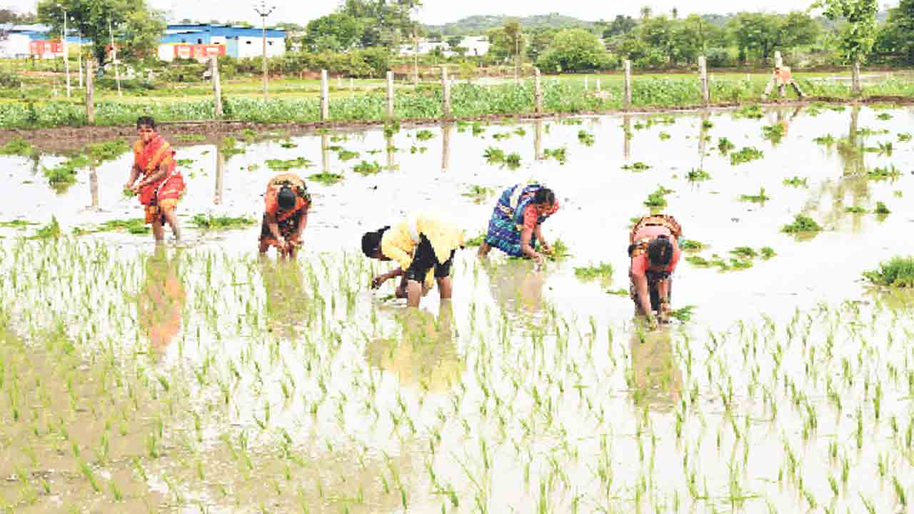 ముసురేసింది..