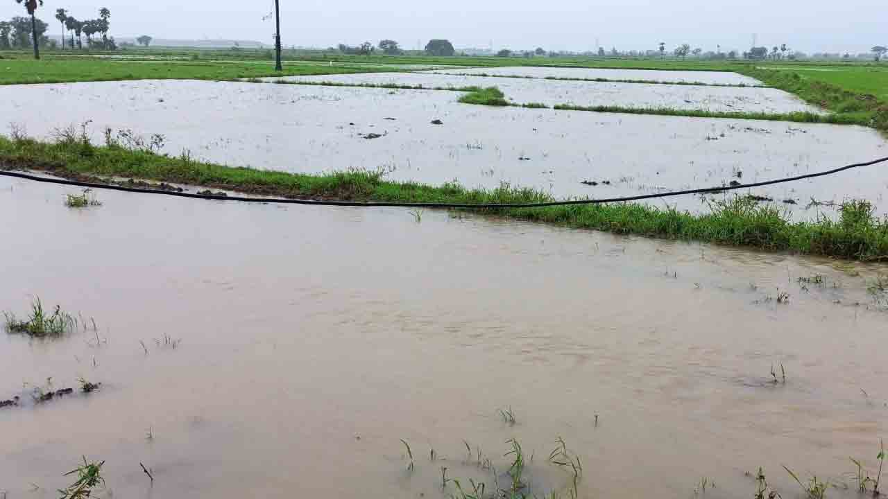 పొంగిపొర్లుతున్న వాగులు, వంకలు