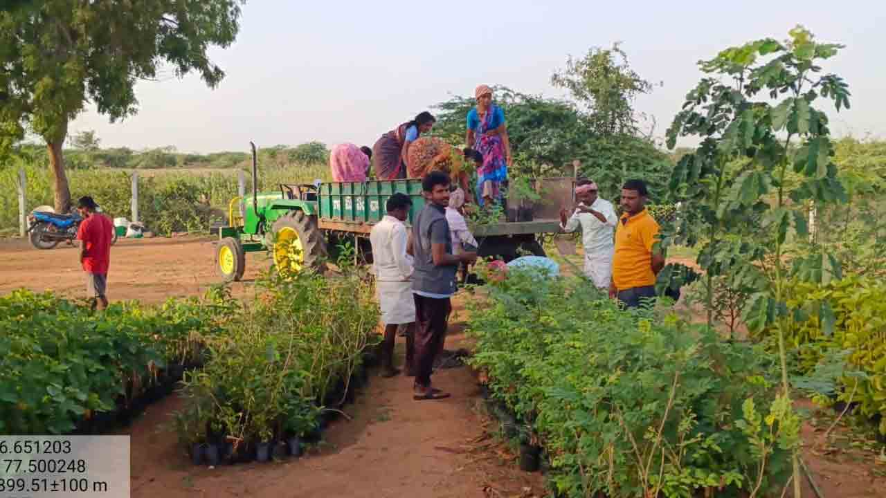మొక్కలు సిద్ధ్దం