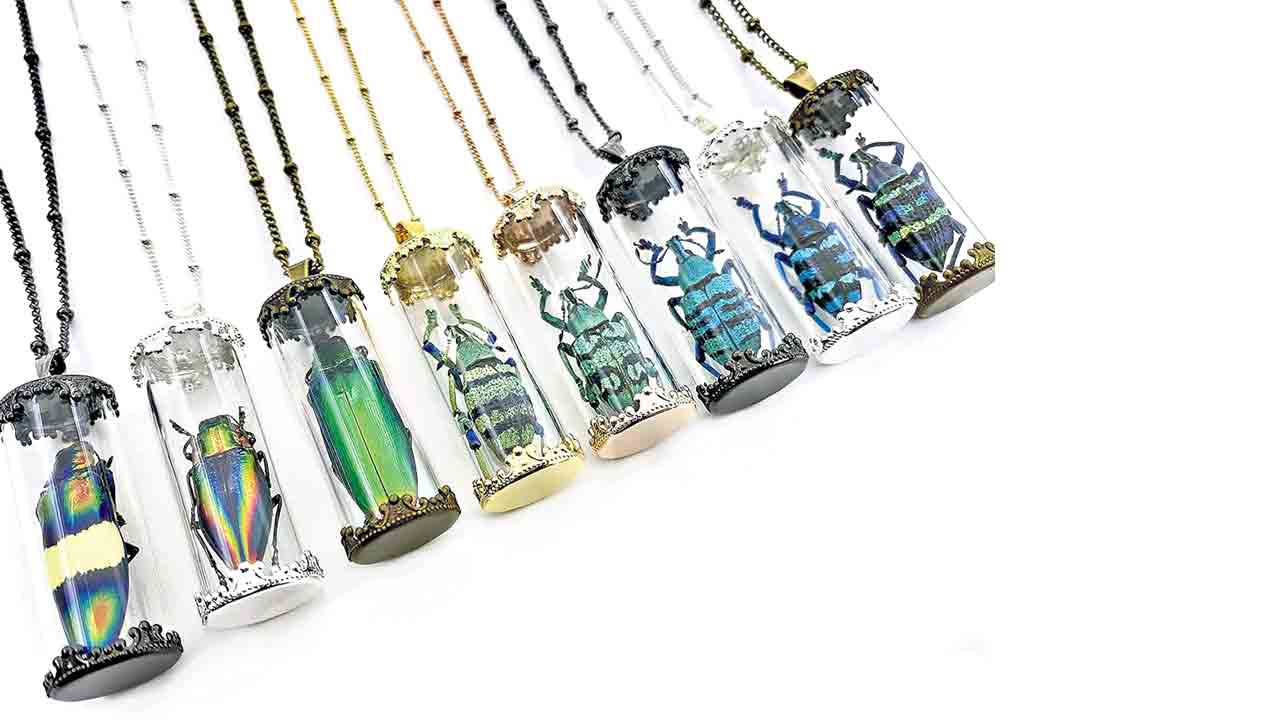 Insect Jewellery | పురుగులతో అందమైన ఆభరణాలు.. ఇప్పుడే కాదు.. ఈజిప్టు నాగరికత నుంచీ ఇవే ట్రెండింగ్‌!