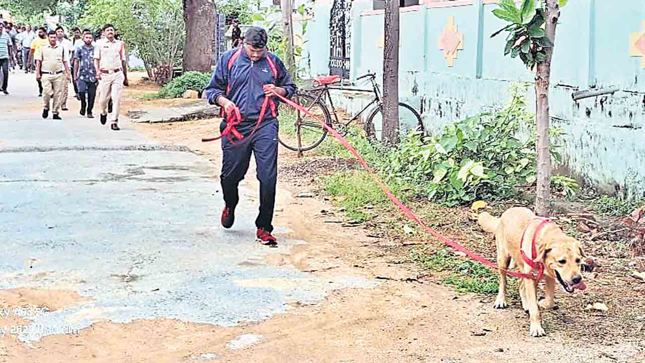 వృద్ధ దంపతుల దారుణ హత్య