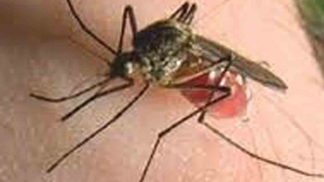 సీజనల్‌ సమరం