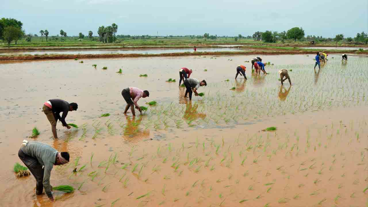 వలసల జిల్లాకే వలస