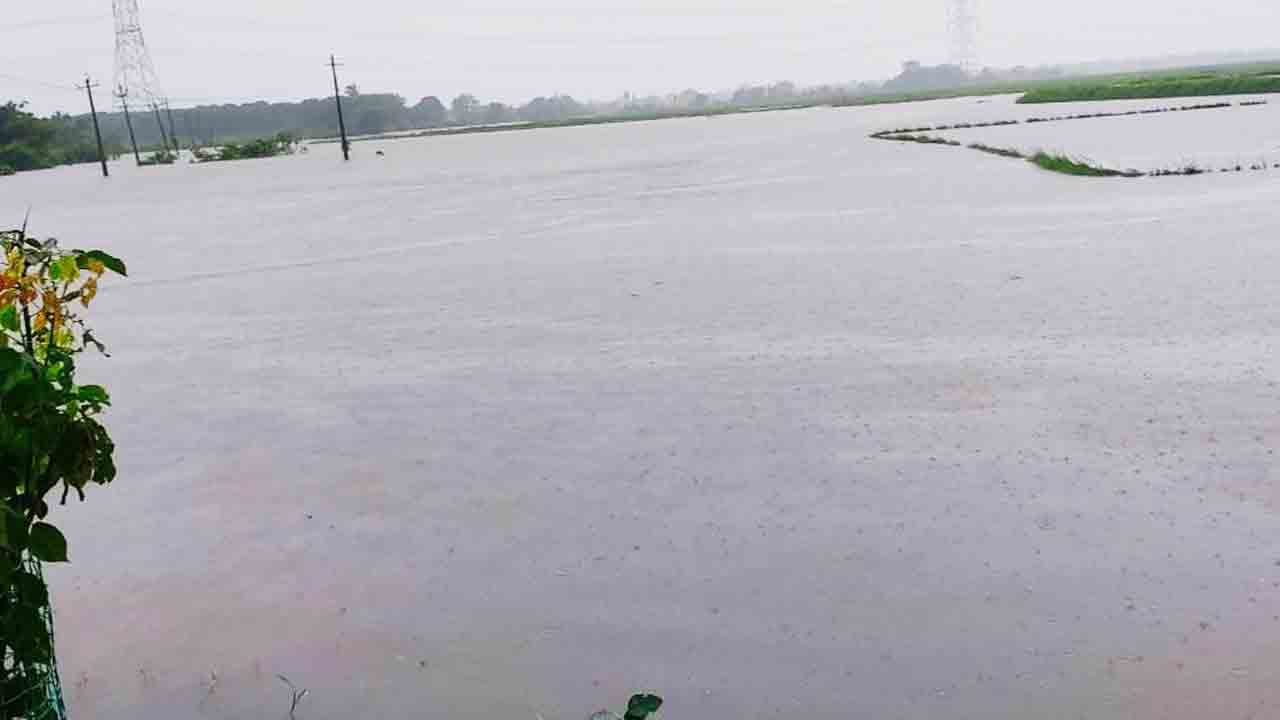 దంచికొట్టిన వాన