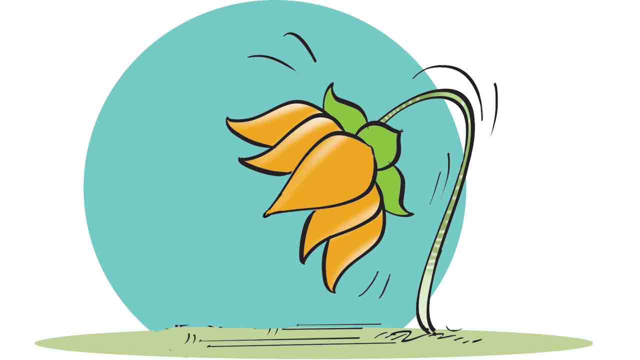 కమలంలో ముసలం..!