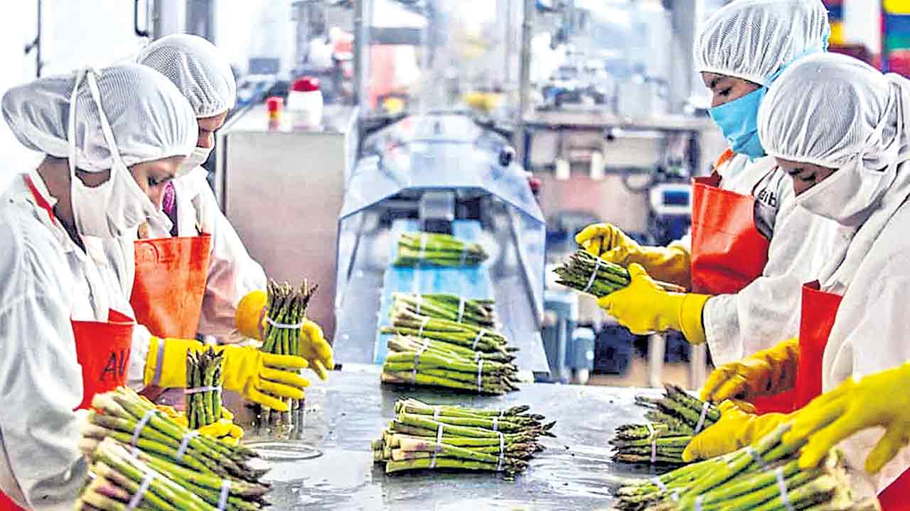 ఫుడ్‌ ప్రాసెసింగ్‌ తెలంగాణ కింగ్‌