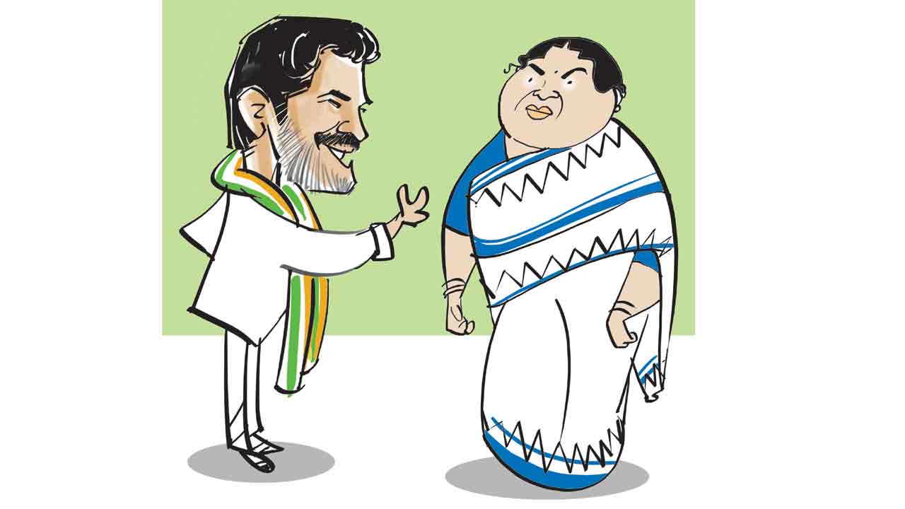 లైట్‌ తీసుకోండి ఫ్లీజ్‌