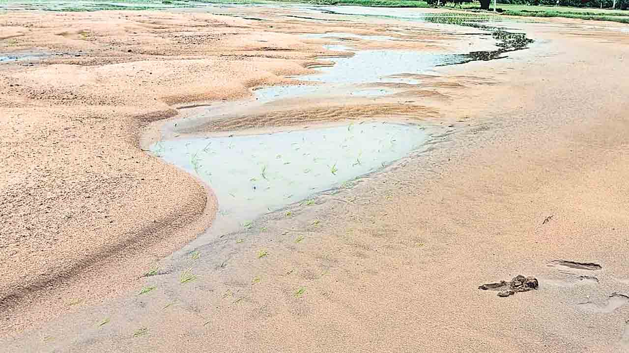 కష్టం దండుగ.. నష్టం దండిగా..