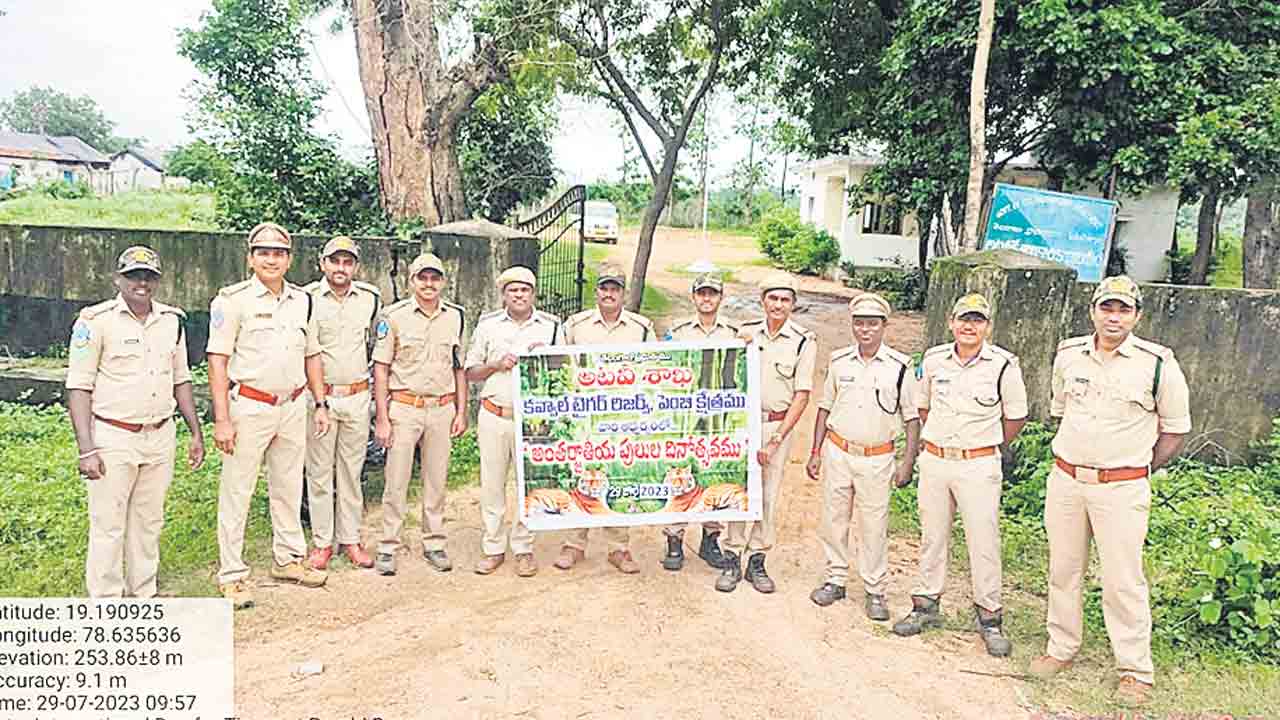 పులుల రక్షణకు కృషి చేయాలి..