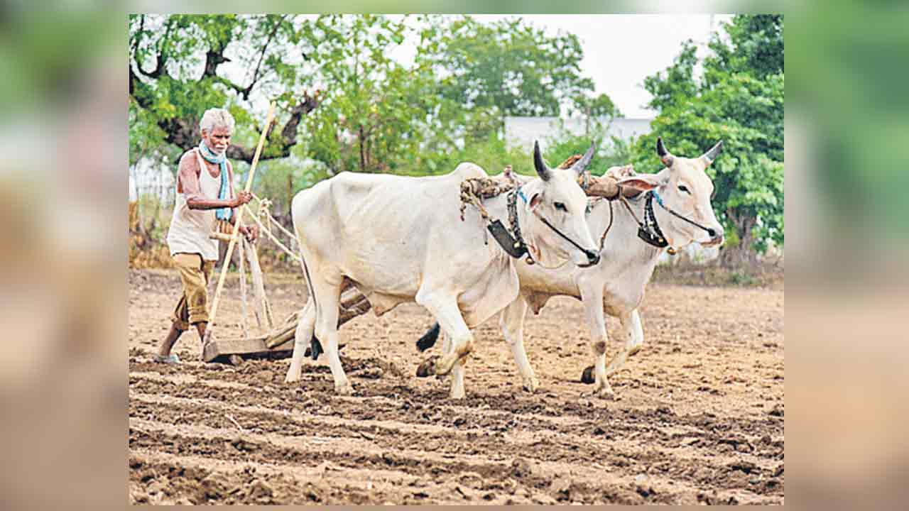 సాగుపై మోదీ కల్లలు