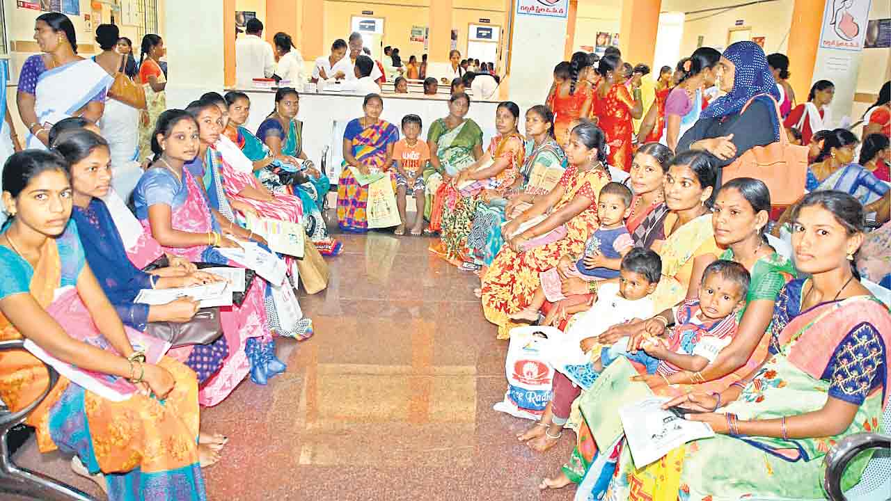 న్యూట్రిషన్‌ కిట్ సూపర్ హిట్