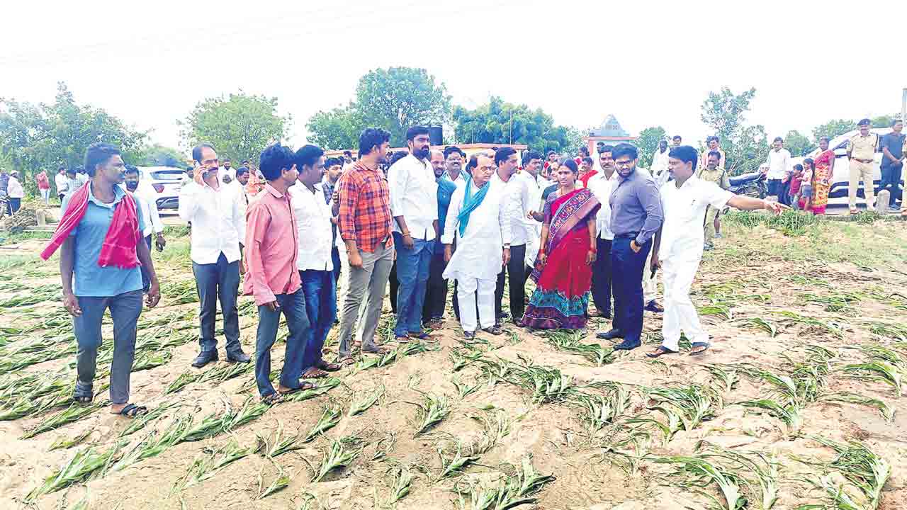 అన్నదాతకు అండగా..