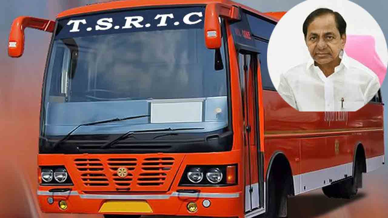 ఇక సర్కారీ బస్సు