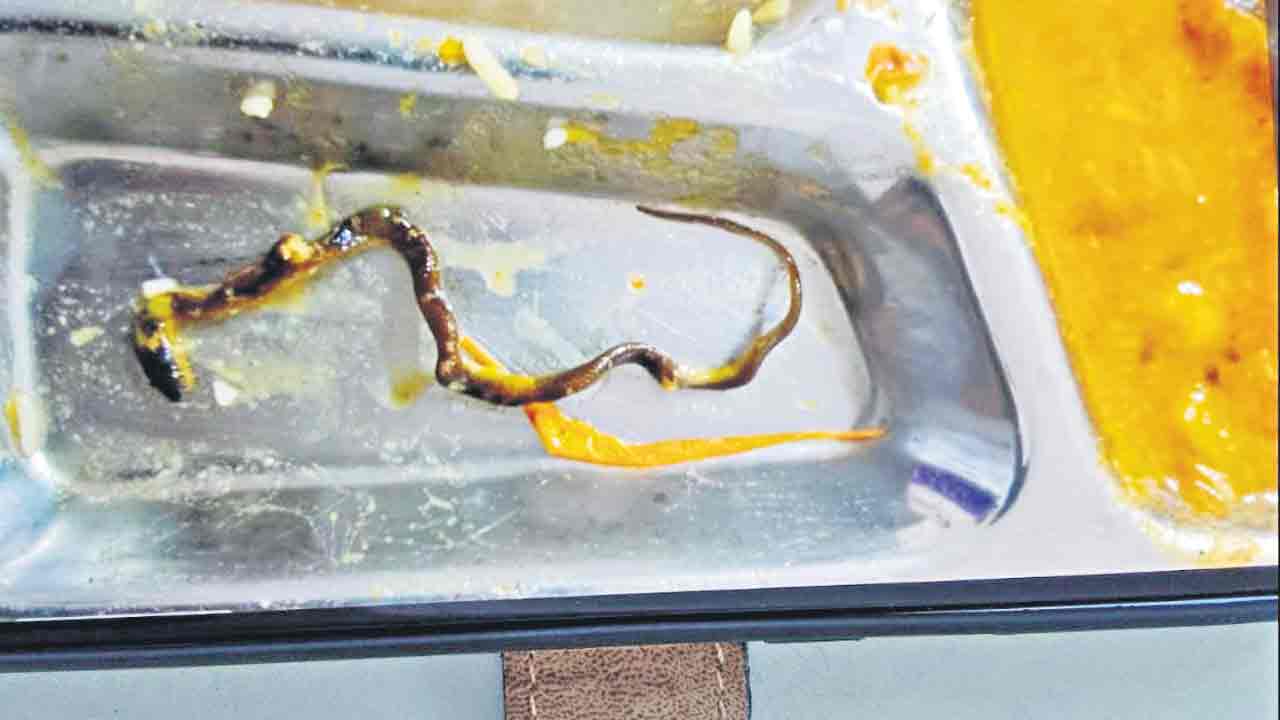 Hyderabad | సాంబారులో బాగా ఉడికిన పాము.. భోజనం చేస్తుండగా కనిపించడంతో షాక్‌!