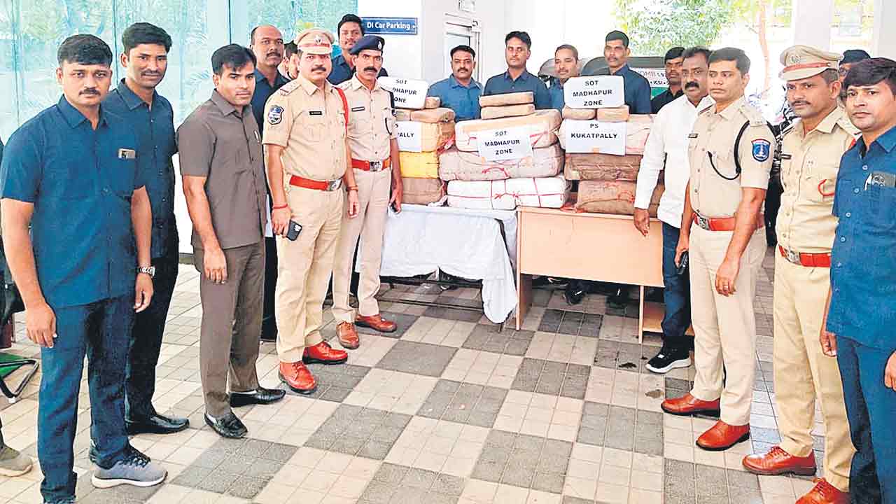 230 కిలోల గంజాయి పట్టివేత