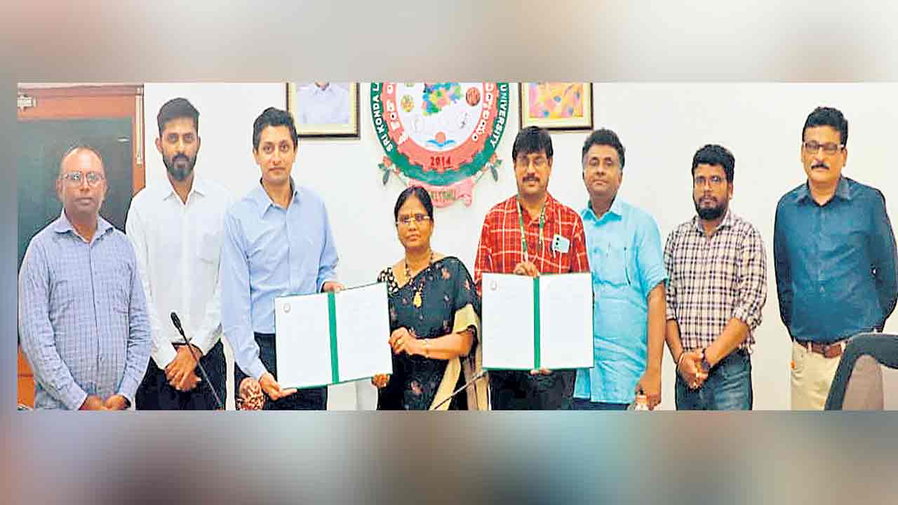 కూరగాయల ఎగుమతులు పెరగాలి