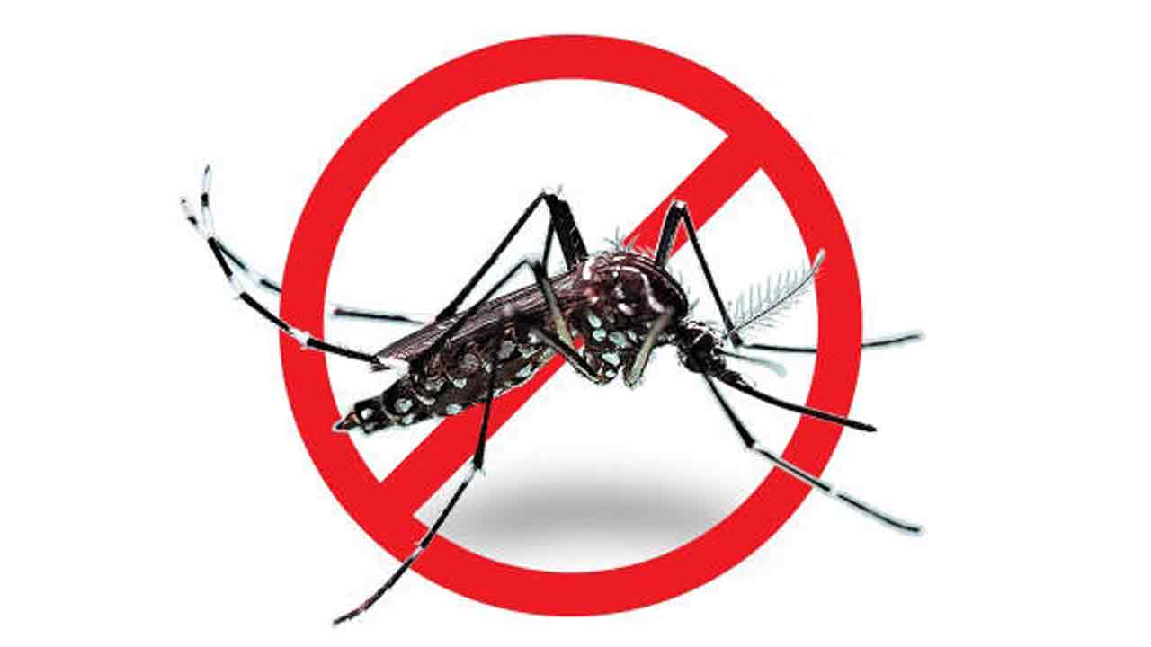 సీజనల్‌ వ్యాధులకట్టడికి సన్నద్ధం