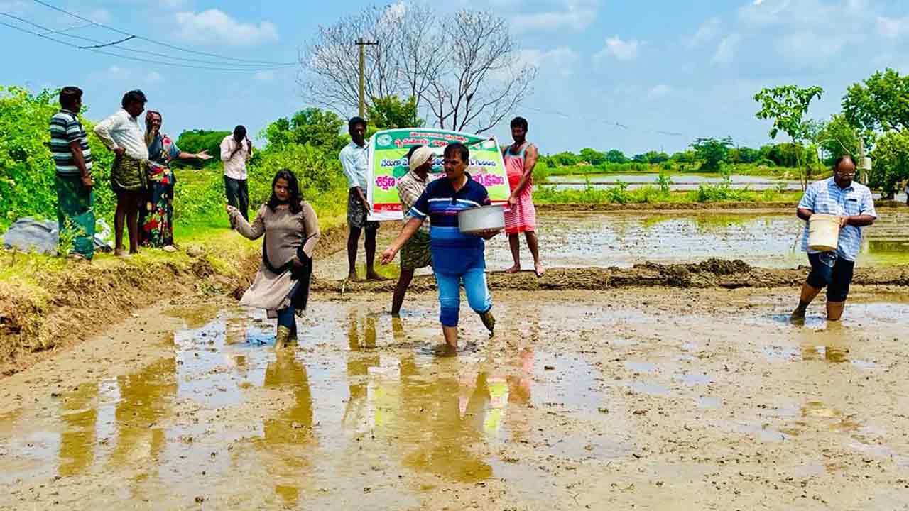 కరివేద సాగు లాభాలు భాగు