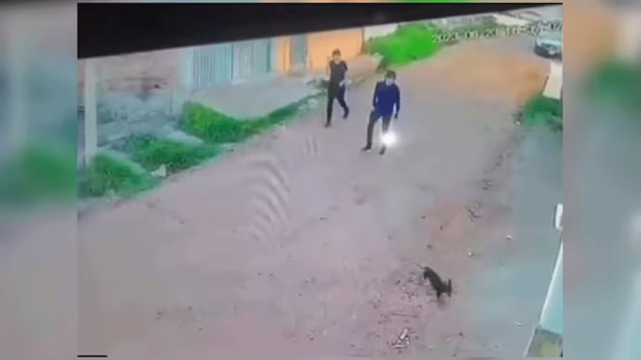 viral video | కుక్క‌ల‌ను భ‌య‌పెట్టాల‌నుకున్నారు.. కానీ సీన్ రివర్స్‌ అయిందిగా.. వీడియో వైరల్‌ !