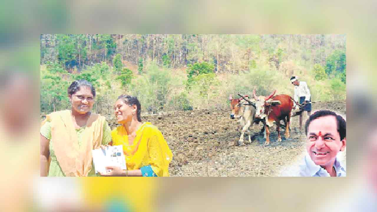 పట్టా పరవశం