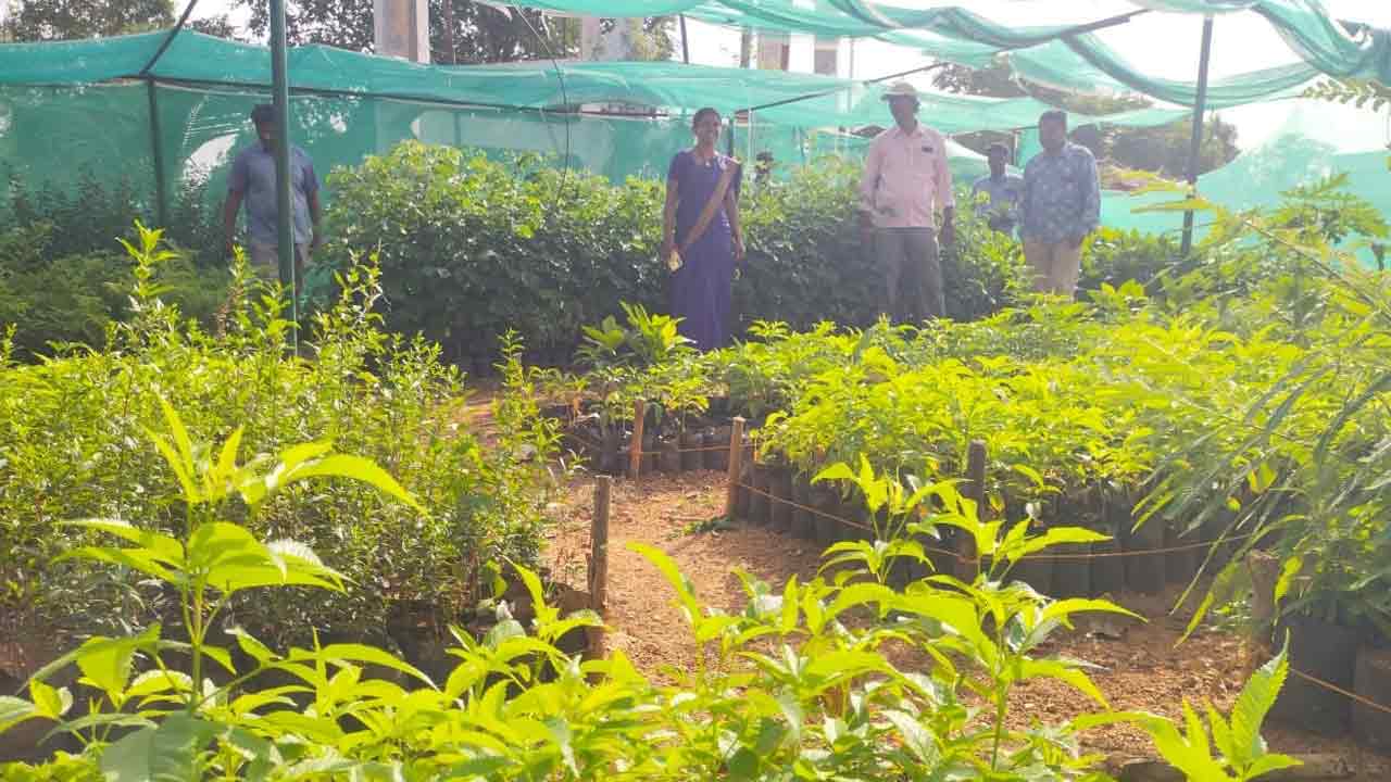 9వ విడుత హరితహారానికి సర్వం సిద్ధం