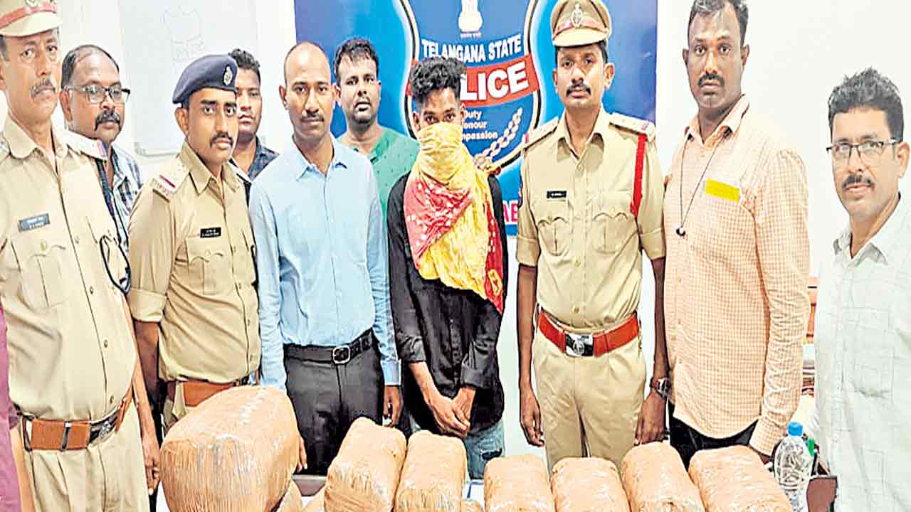 ముంబైకి గంజాయి సరఫరా