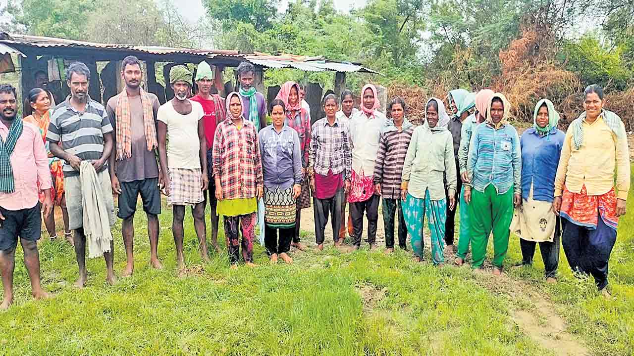 Telangana | తెలంగాణ పొలాల్లో ఆంధ్రా కూలీలు.. ఏపీలో పనులు దొరక్క ఇక్కడికి వలసలు!