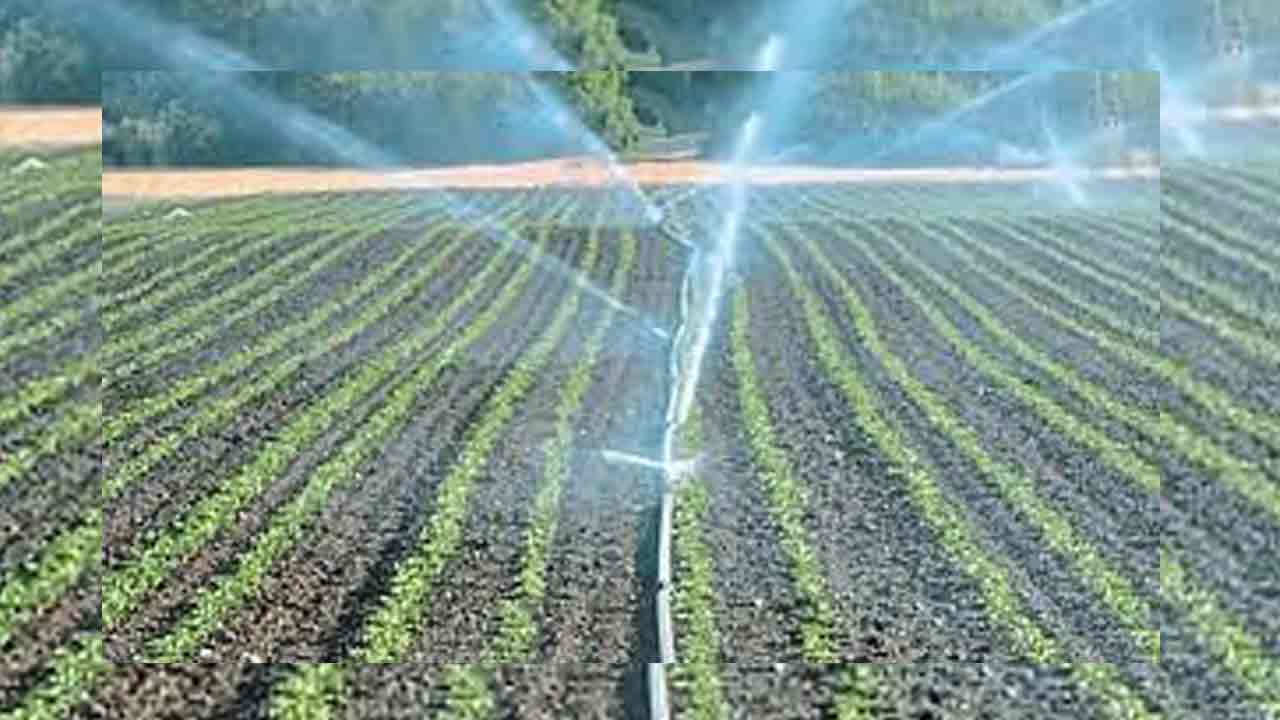 ఉద్యాన సాగుకు ఊతం