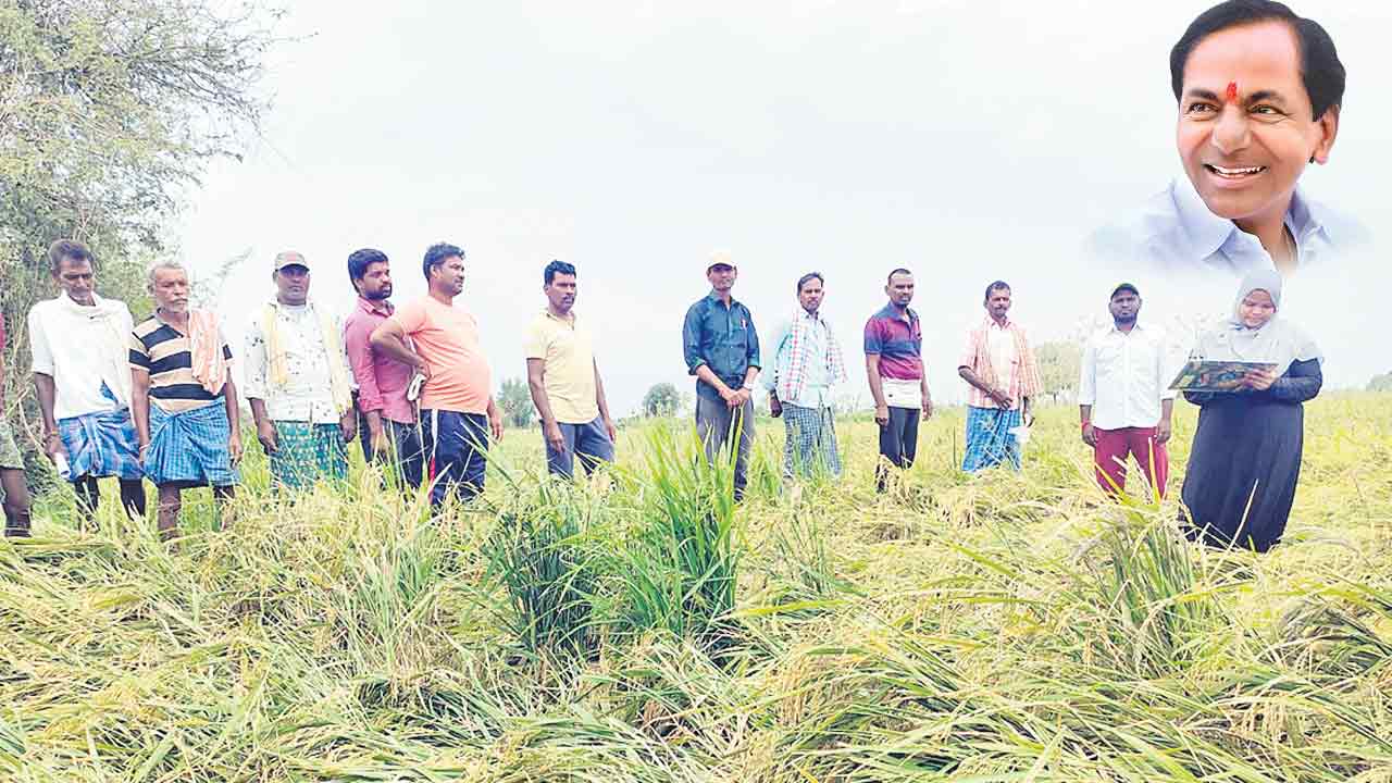 అభయ మిచ్చిండు..ఆదుకున్నడు..