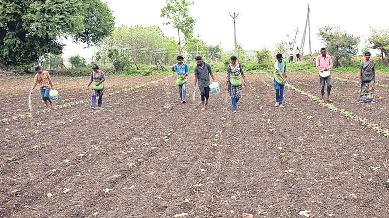 ఆలస్యమైనా అనుకూలమే..