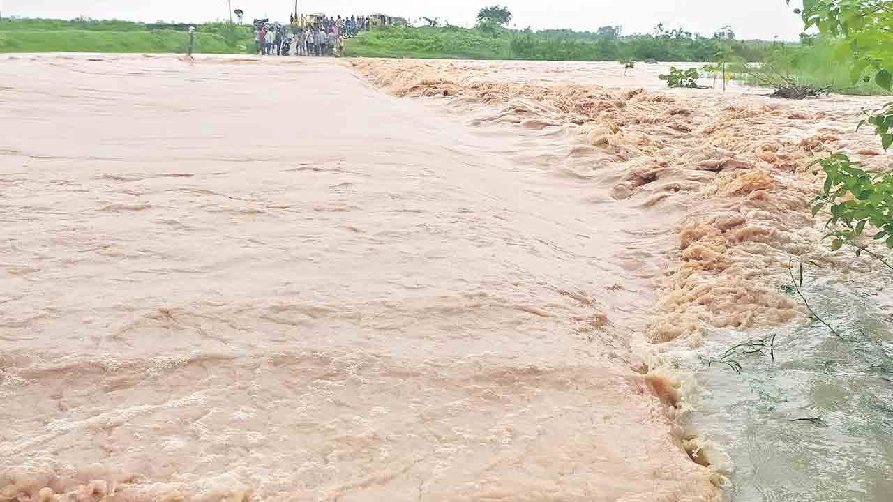 వీడని వాన