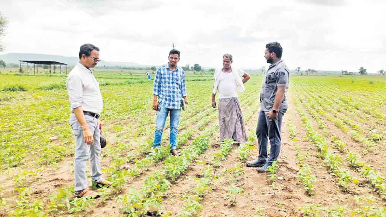 పక్కాగా సాగు లెక్క