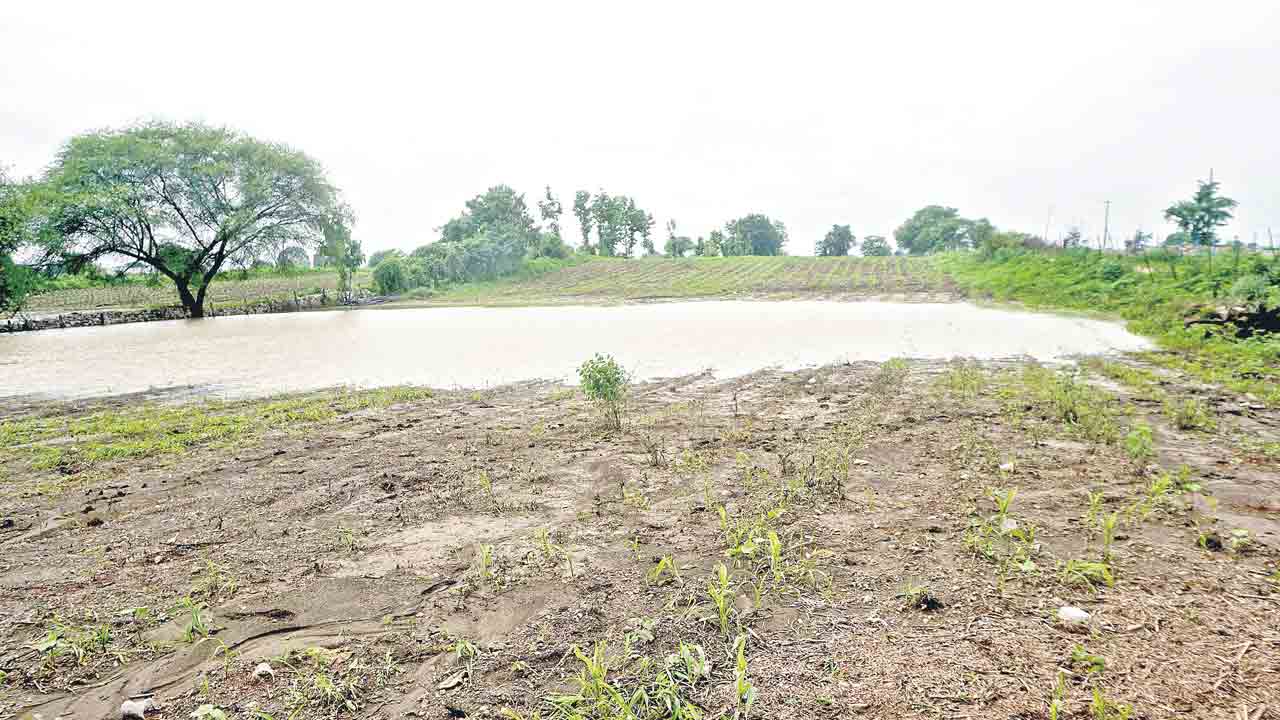 వర్షం.. నష్టం..