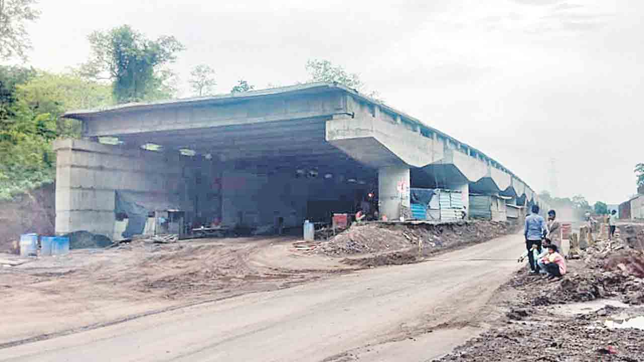 శరవేగంగా ఎకో వంతెనలు