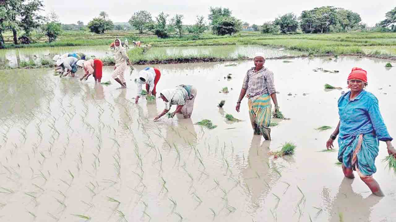 రైతన్నలు బిజీబిజీ