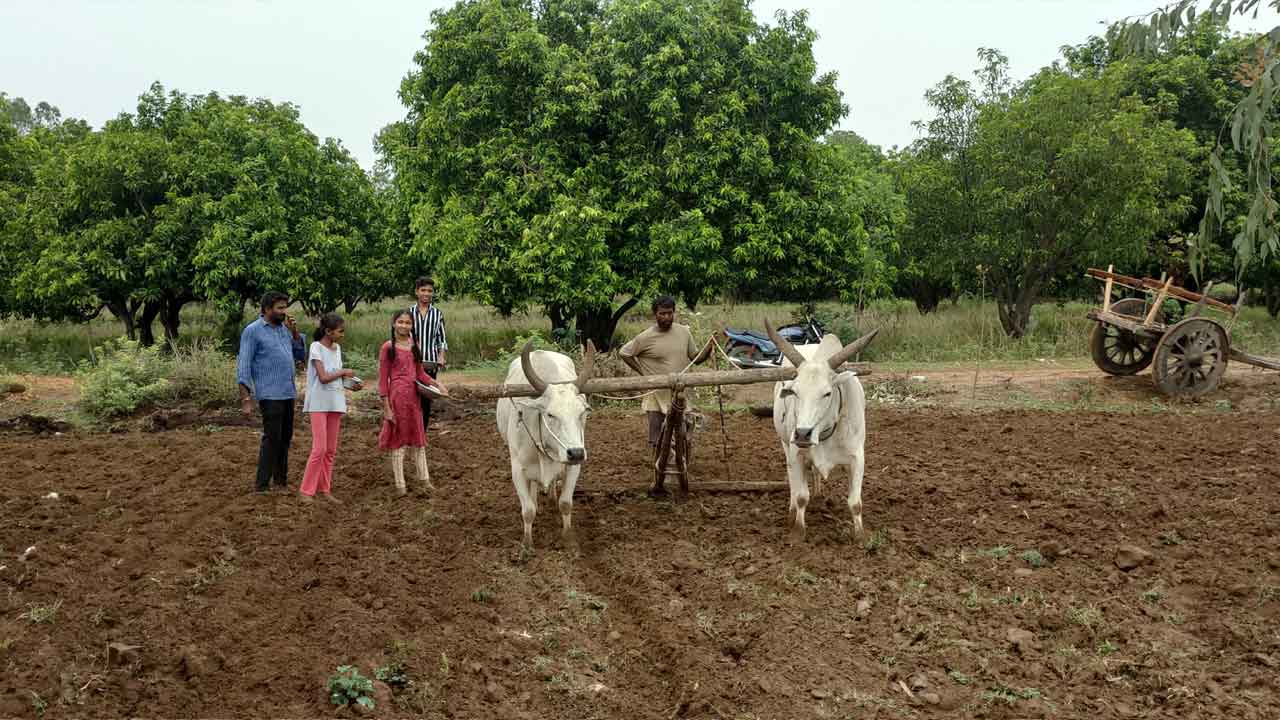 నాసిరకంతో జాగ్రత్త