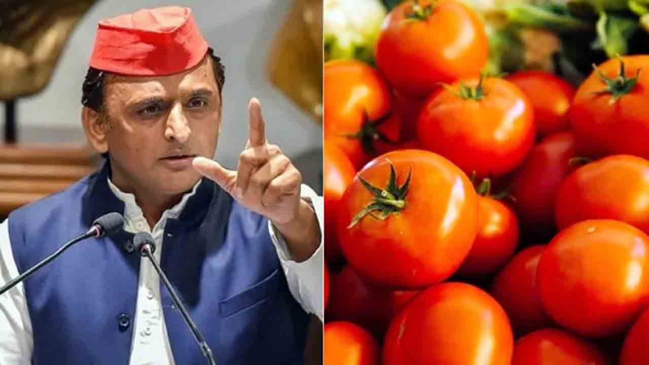 Tomatoes | ‘స్పెషల్‌ టమాటా ఫోర్స్’‌.. ఎస్టీఎఫ్‌ పేరును ఇలా మార్చాలని అఖిలేష్‌ యాదవ్‌ సూచన, ఎందుకంటే?