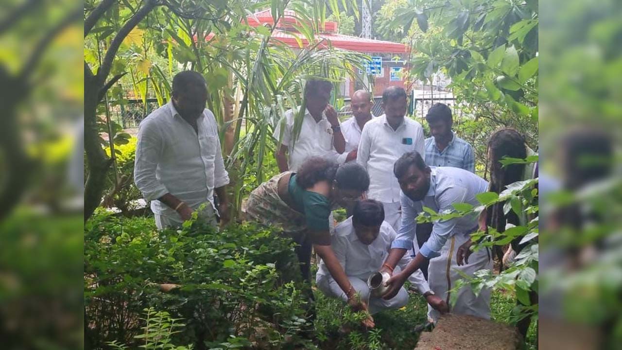 B Vinod Kumar | జీఎంఆర్‌గార్డెన్స్‌లో మొక్కలు నాటిన వినోద్‌కుమార్‌