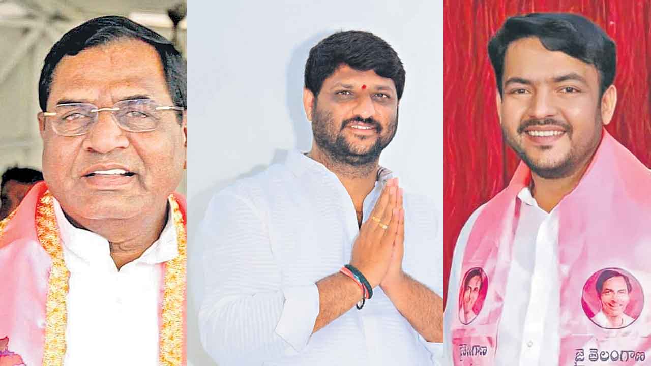 వరించిన పదవులు