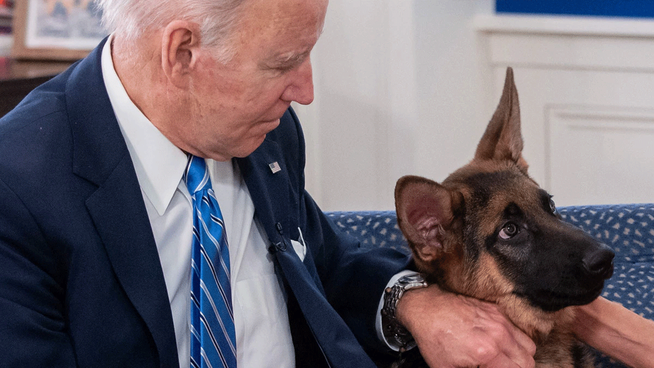 Biden Pet Commander | రక్షణ సిబ్బందిని మూడు నెలల్లోనే పది సార్లు కరిచిన బైడెన్ పెంపుడు శునకం