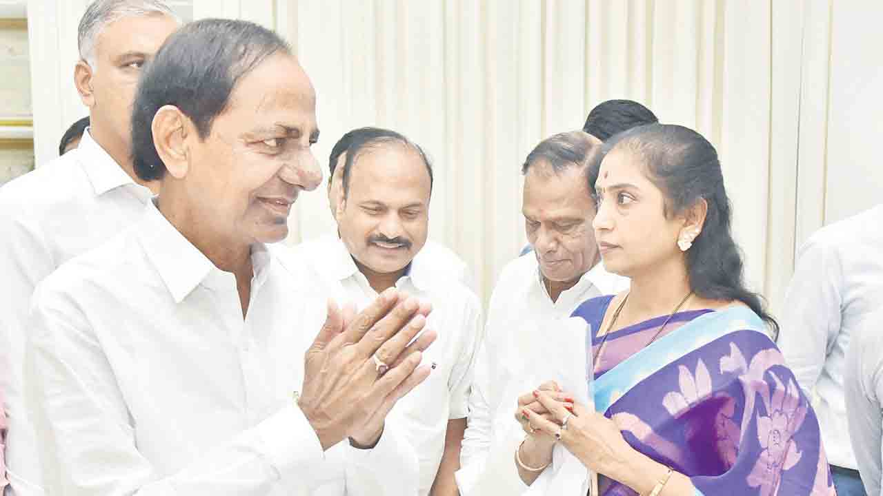 నియోజకవర్గ సమస్యలు పరిష్కరించండి