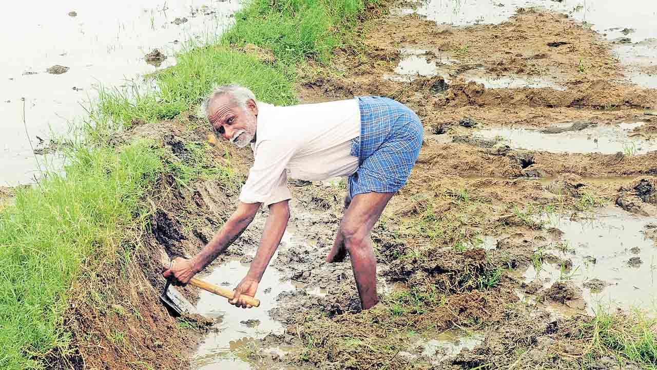 Migrant Labourers | ముఖ్యమంత్రి కేసీఆర్‌ పథకాలకు సూరత్‌ వలస కార్మికులు ఫిదా.. పల్లెకు తిరిగొస్తున్న వందల కుటుంబాలు