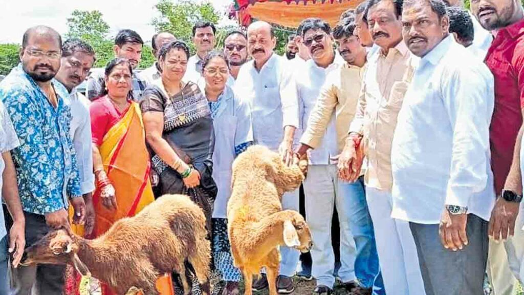 చింతా ప్రబాక