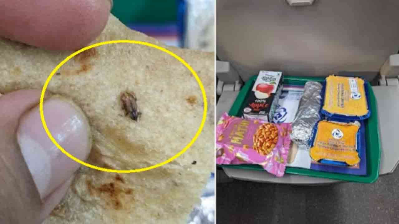 Vande Bharat | వందే భారత్‌ ట్రైన్‌ ఫుడ్‌లో బొద్దింక.. ప్రయాణికుడు ఫిర్యాదు