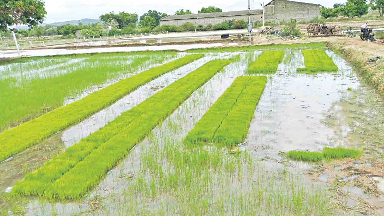సాగులో యాంత్రీకరణ