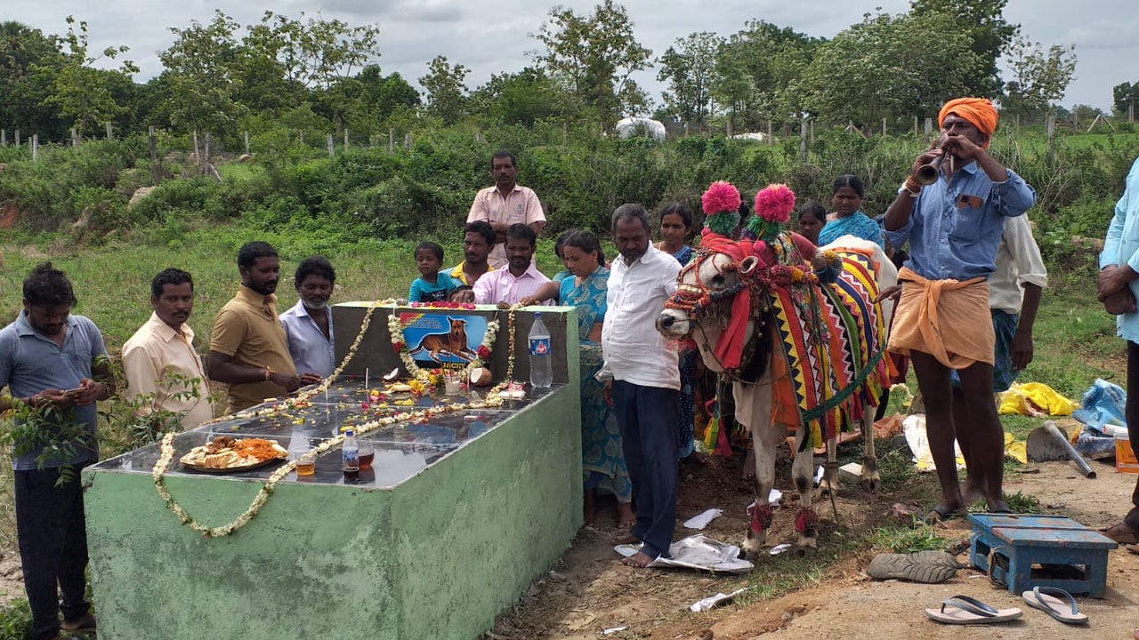 Dog Funeral Rites | శునకానికి కర్మకాండ చేసి సమాధి కట్టించిన యజమాని.. మహబూబాబాద్‌ జిల్లాలోనే